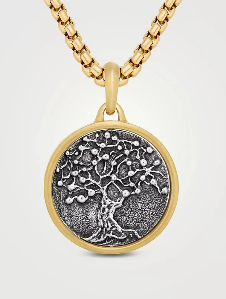 Life And Death Duality Amulet In Sterling Silver With 18k Yellow Gold, 30mm