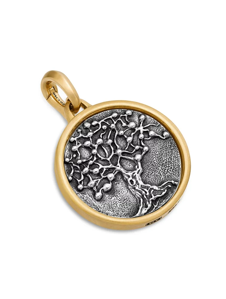 Life And Death Duality Amulet In Sterling Silver With 18k Yellow Gold, 30mm