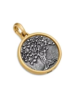 Life And Death Duality Amulet In Sterling Silver With 18k Yellow Gold, 30mm