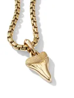Shark Tooth Amulet In 18k Yellow Gold