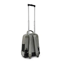 Sanaa Large Metallic Rolling Backpack