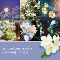 Midnight Jasmine