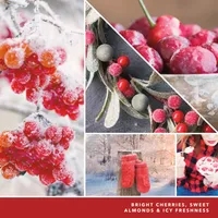 Cherries On Snow