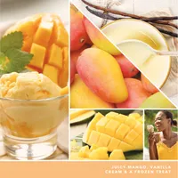 Mango Ice Cream