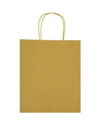 Party Kraft Gift Bag, Large