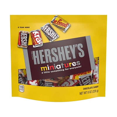 Hershey's Miniature Assorted Chocolate Candy Bag, 8 oz.