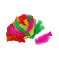 Make Shoppe Neon Feathers, 0.4oz