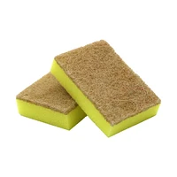 Bio Clean Eco-Friendly Scouring Sponges, 2 Pack