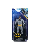 Heroes Unite DC Comics Action Figure, Assorted