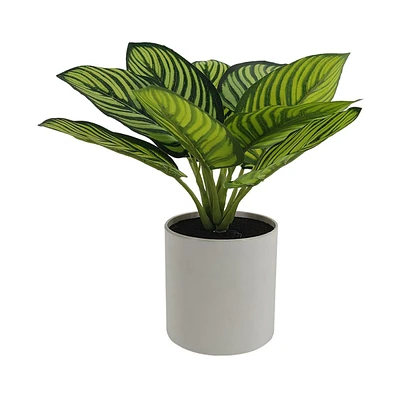 Green Striped Artificial Plant with White Pot
