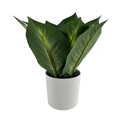 Calathea Artificial Plant with White Pot