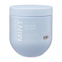 Coconut Mint Body Scrub