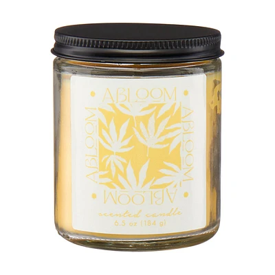 Scented Candle Jar, Abloom, 6.5 oz