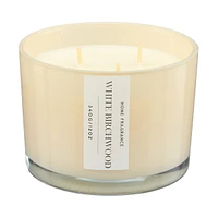 Home Fragrance White Birchwood Scented Candle