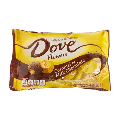 Dove Promises Caramel & Milk Chocolate Easter Candy Bag, 7.94 oz