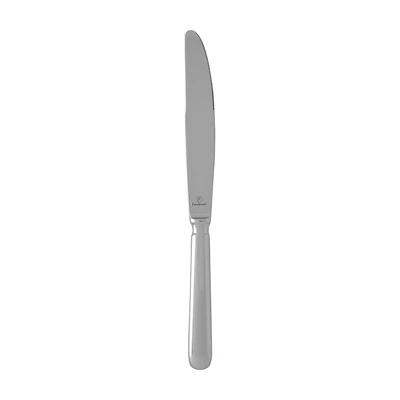 Stainless Steel Table Knife, 9.8 in