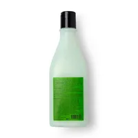 Shampoo Reparador intensivo Chimichurri Mint Tingle 300ml