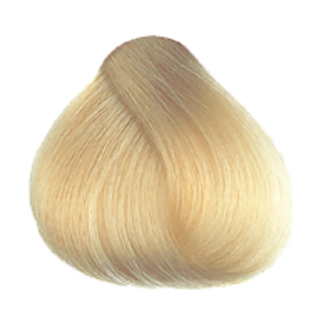 10N Platinum Blonde Hair Colour