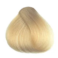 10N Platinum Blonde Hair Colour