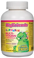 Chewable Multivitamin & Minerals, Jungle Berry Big Friends®