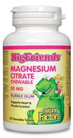 Magnesium Citrate Chewable 50 mg, Bubble gum Big Friends®