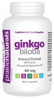 Ginkgo Biloba