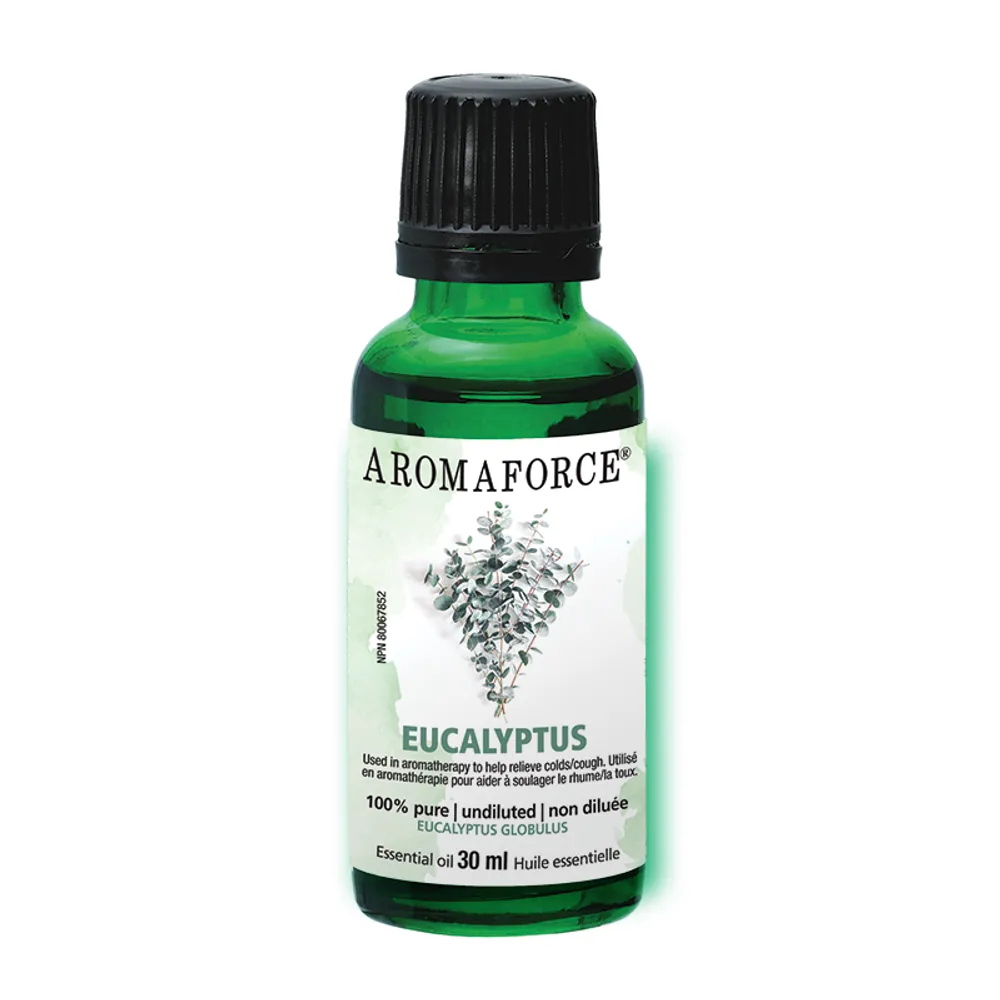 Eucalyptus Essential Oil