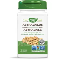 Astragalus Root