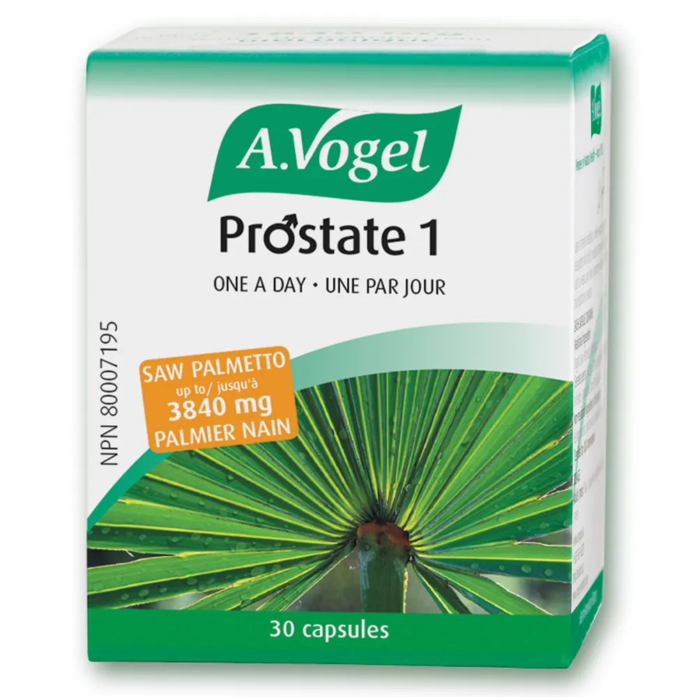 Prostate 1