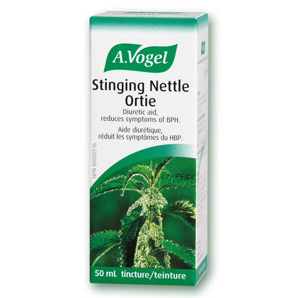 Stinging Nettle