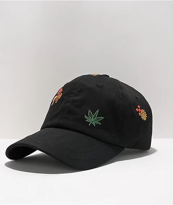 Empyre Roots Embroidered Black Strapback Hat