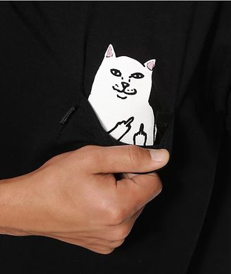 pet adoption stores near me