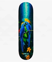 April Rayssa Blue Macaw 8.25" Skateboard Deck