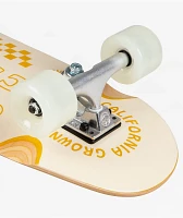 Arbor Pilsner Venice 28" Cruiser Skateboard Complete
