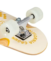 Arbor Venice Pilsner 28.75" Cruiser Skateboard Complete