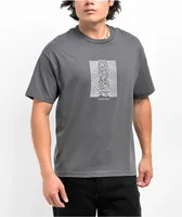 Color Bars x Joy Division Unknown Pleasures Grey T-Shirt