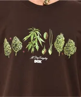 DGK Botanical Society Brown T-Shirt