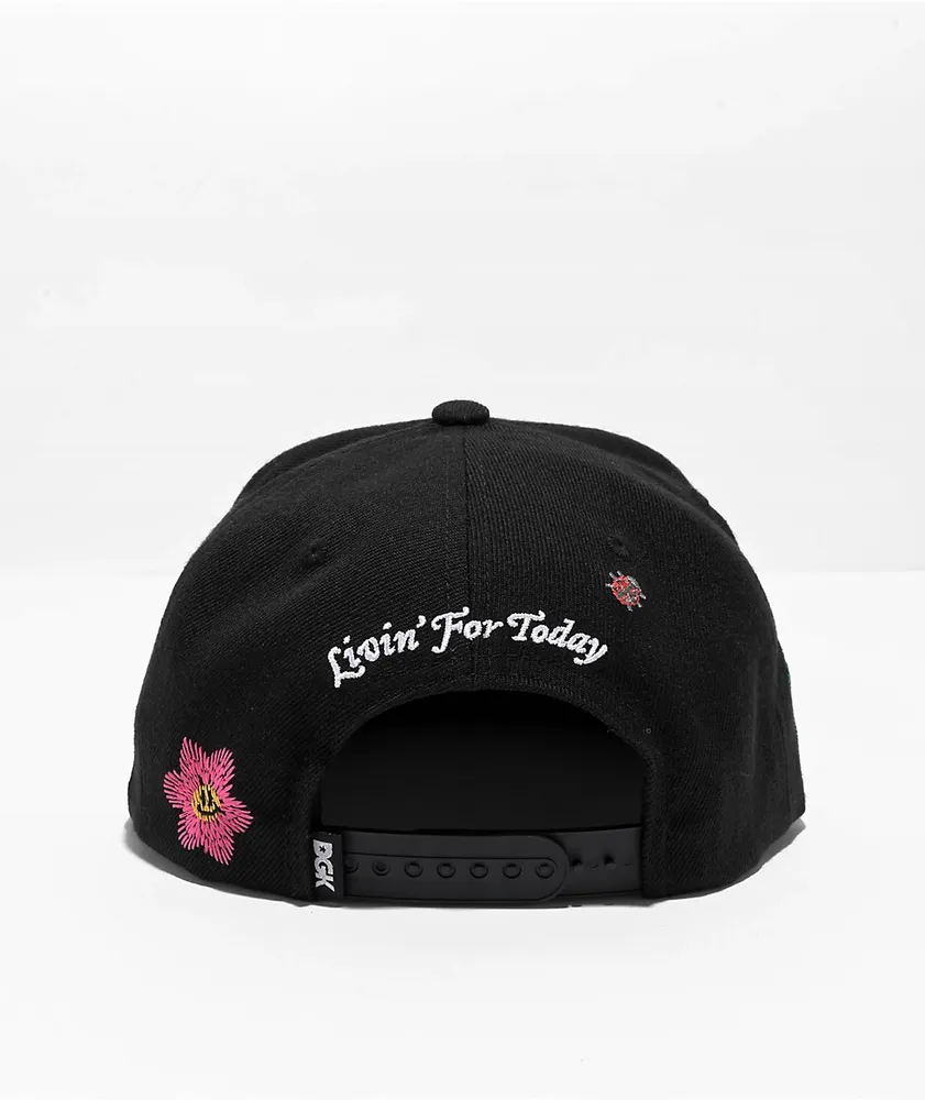 DGK Growth Black Snapback Hat