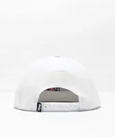 DGK Zen White Snapback Hat