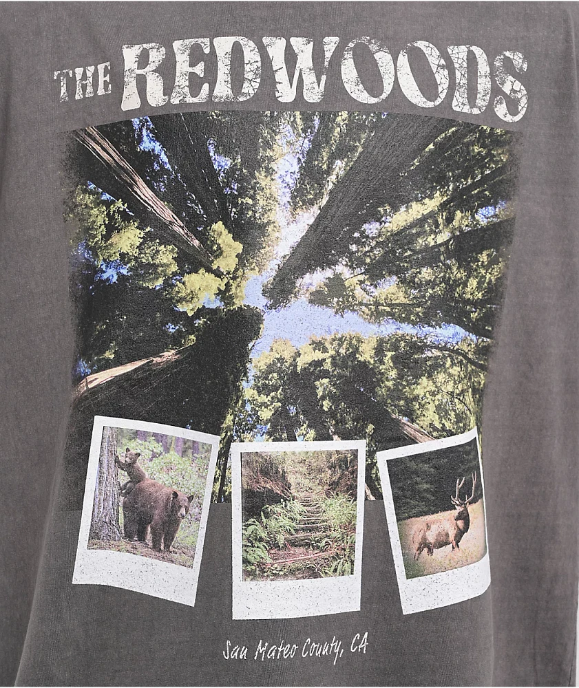 Dravus Redwoods Charcoal T-Shirt