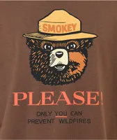 Element x Smokey Bear Only You Brown T-Shirt