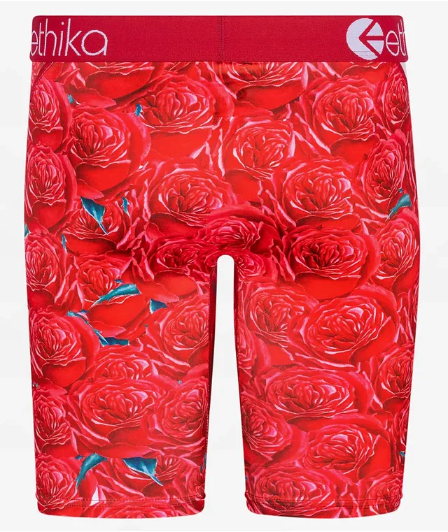 Ethika Aguanta Vara Boxer Briefs