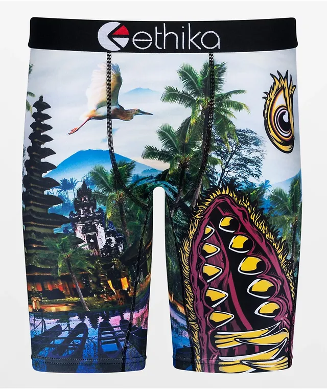 Ethika BMR Crazy Paisley Boxer Briefs