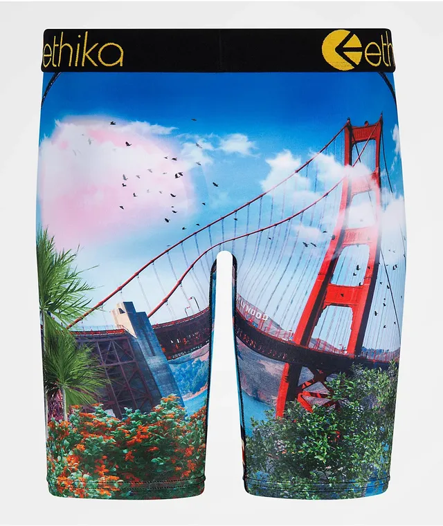 Ethika On Holiday Boxer Briefs