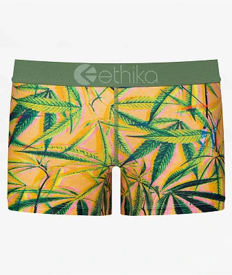 Ethika Cannabliss Green Boyshort Underwear