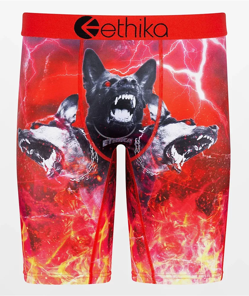 Ethika Men's Up Roar Boxer Briefs