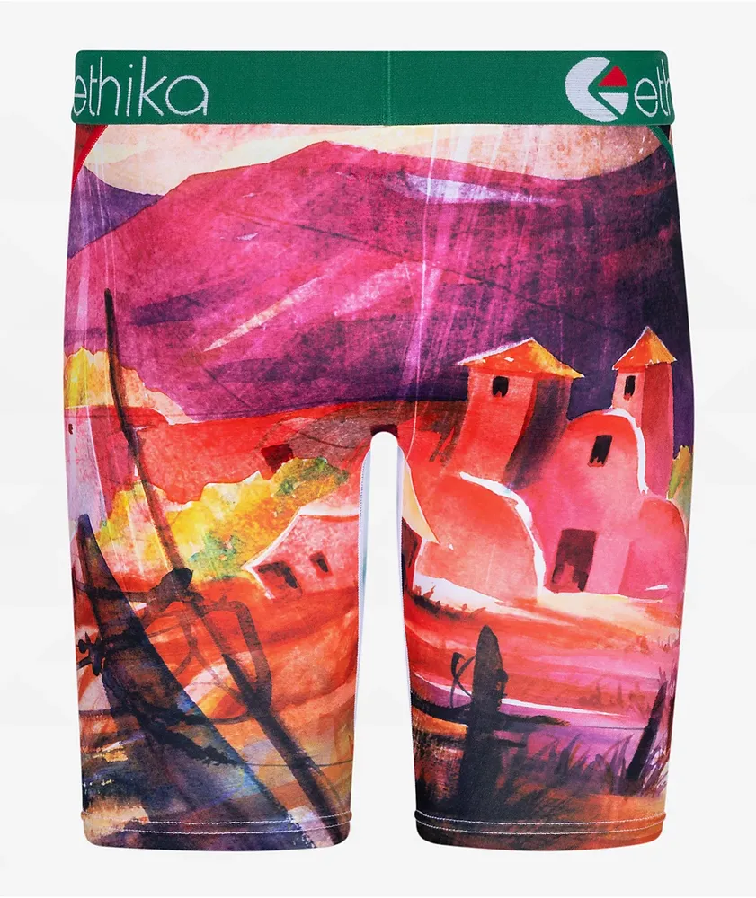 Ethika Cinco Boxer Briefs