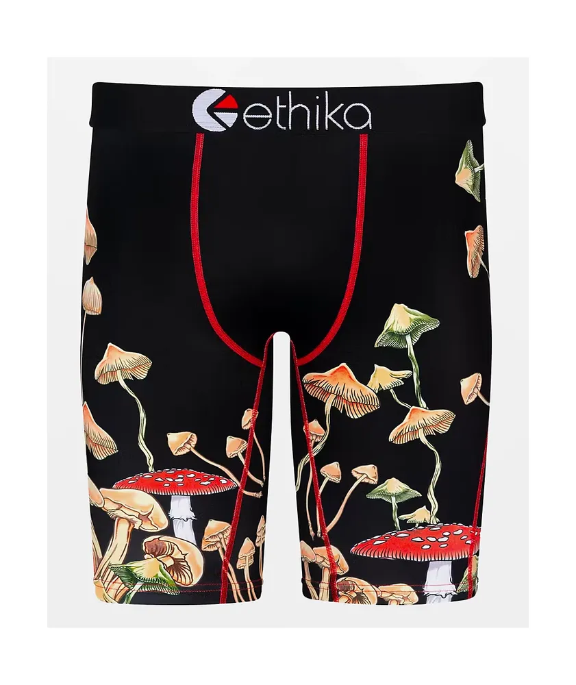 Ethika Dreamscapes Boxer Briefs