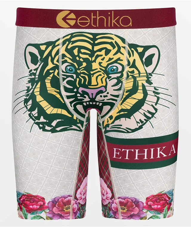 Ethika Kids Ethikafication Boxer Briefs