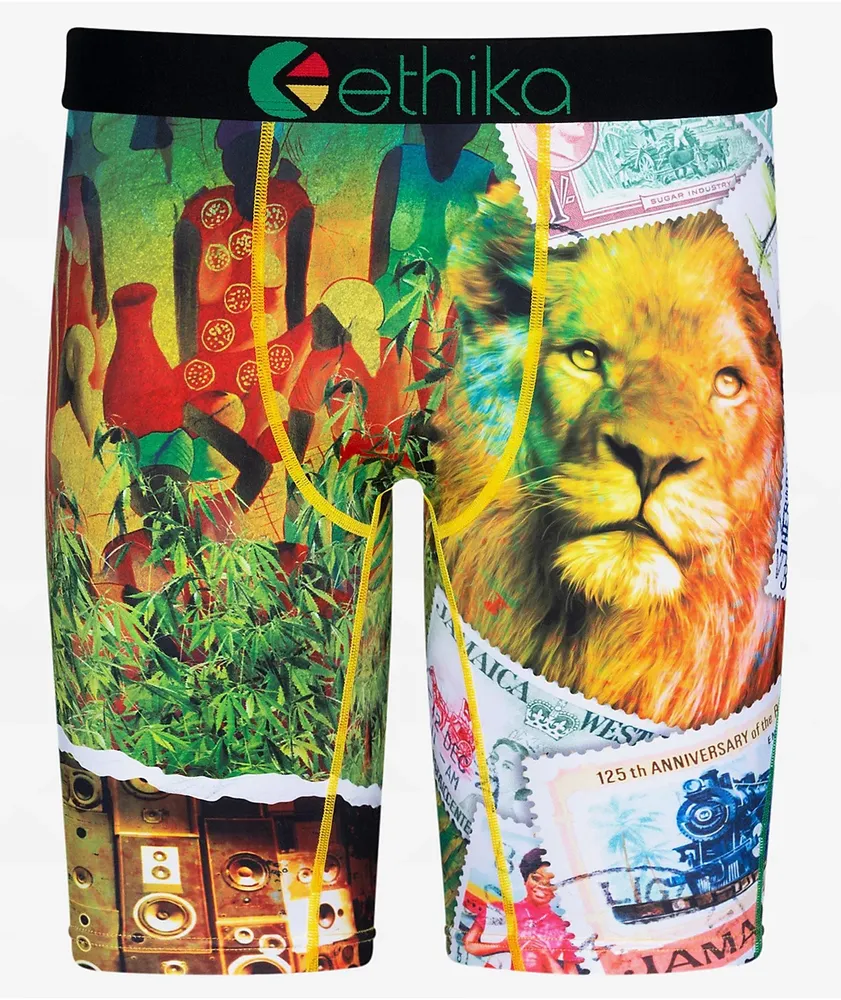 Multicolor Ethika Underwear L South Africa Factory Outlet - Ethika